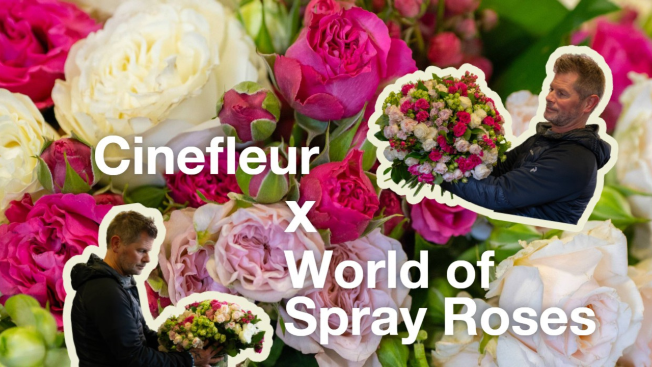 You are currently viewing Introducing Spray Talks: Where Growers And Florists Meet