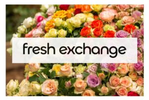 Read more about the article “Small Blooms, Big Impact” – A Q&A With Fresh Exchange’s Anna Petrova