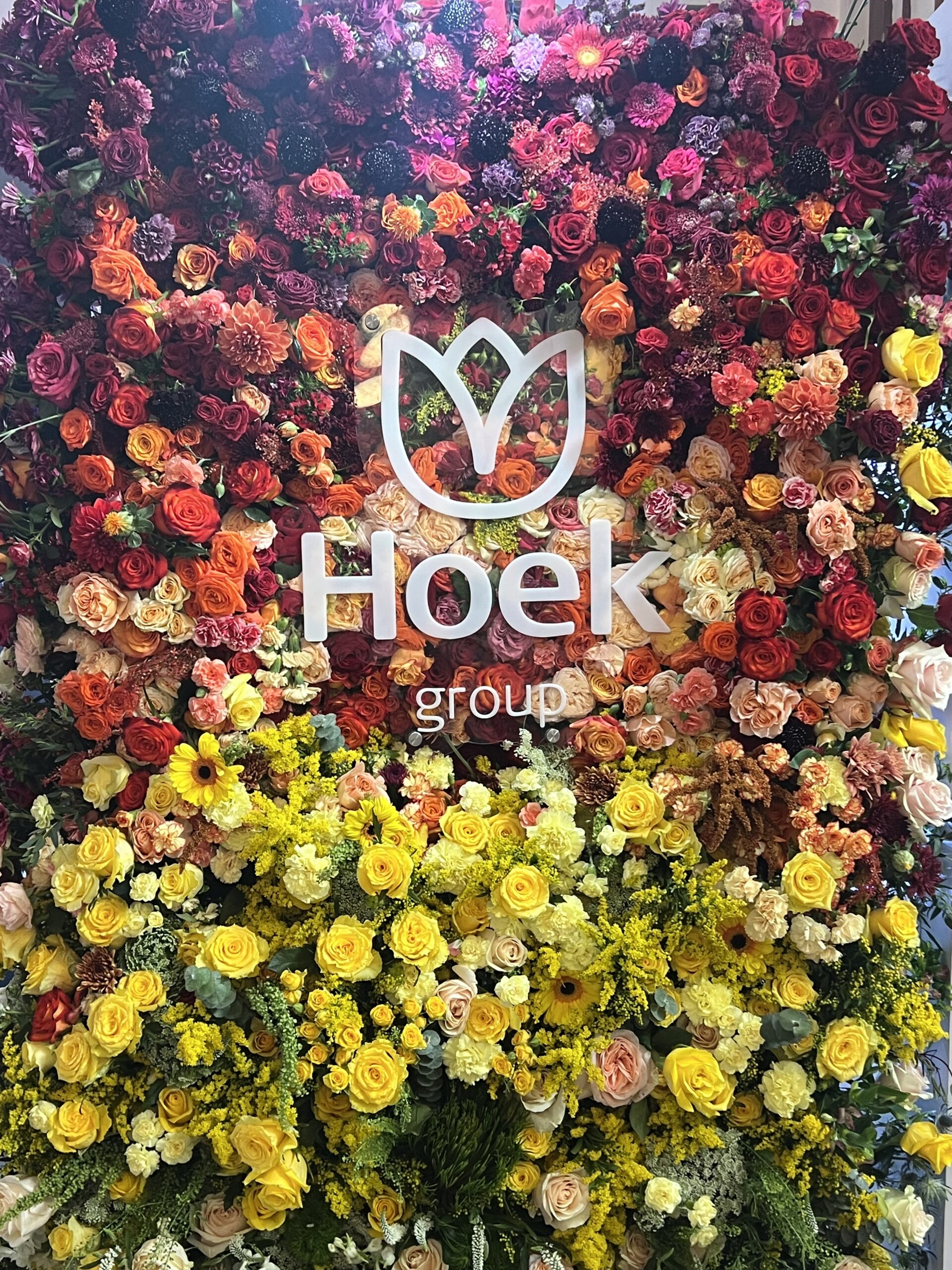 You are currently viewing HOEK FLOWERS, BRINGING THE WORLD’S BEST SPRAYROSES STRAIGHT TO YOUR WORKBENCH