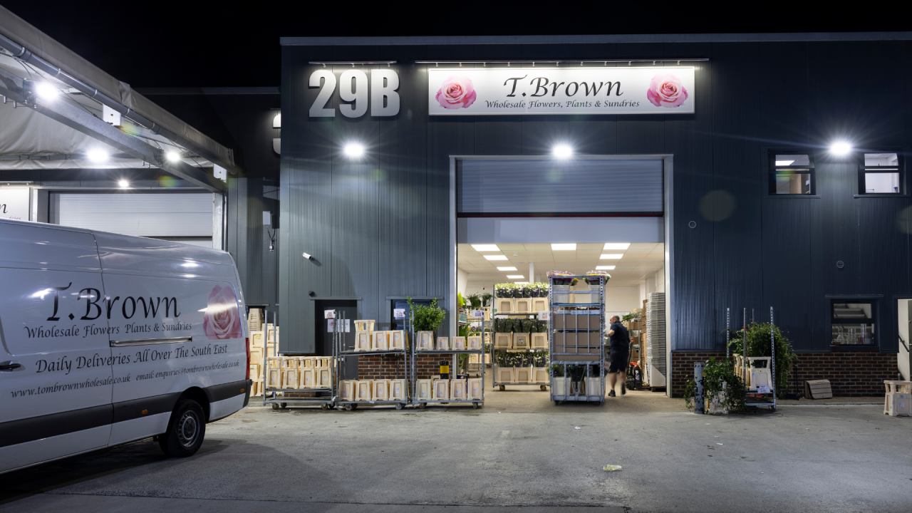 You are currently viewing Q&A With Gayle From Tom Brown Wholesale